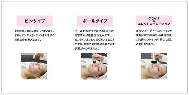エレクトロポーション導入法